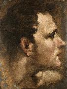 Domenico Beccafumi Head of a Youth Seen in Profile oil painting